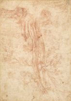 Circle Anthony van Dyck (1599-1641). Study of a Tree, early to mid 17th century