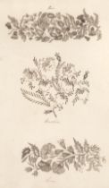 Pattern Book. Manuscript book of embroidery & lace patterns belonging to Isabella Chambers, 1828
