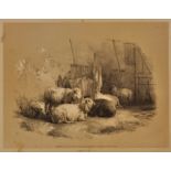 Cooper (Thomas Sidney). Studies of Cattle, drawn from nature..., Parts 1 & 2, New Edition