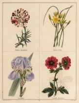 Maund (Benjamin). The Botanic Garden..., 2 volumes (of 5), London: Simpkin & Marshall, [1825-35]