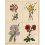 Maund (Benjamin). The Botanic Garden..., 2 volumes (of 5), London: Simpkin & Marshall, [1825-35]