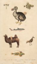 Martyn (William Frederick). A New Dictionary of Natural History, 2 vols in 1, 1785