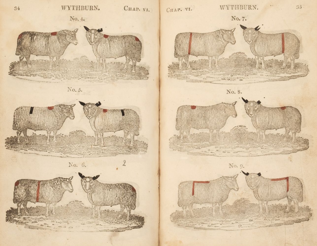 Sheep marks. The Shepherd's Guide, by William Mounsey & William Kirkpatrick