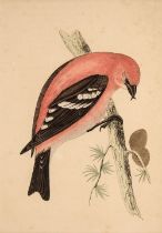 Ornithology. A collection of approximately 320 prints, mostly 19th and early 20th-century