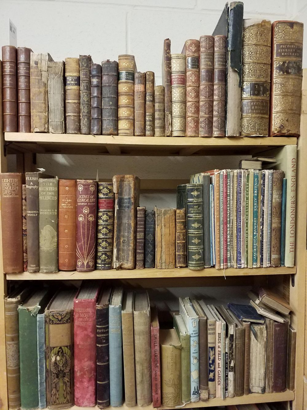 Miscellaneous. A large collection of miscellaneous literature