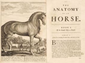 Snape (Andrew). The Anatomy of an Horse, 1st edition, London