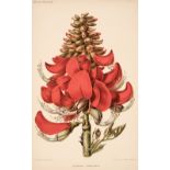 Botany. A collection of approximately 130 prints, 19th century