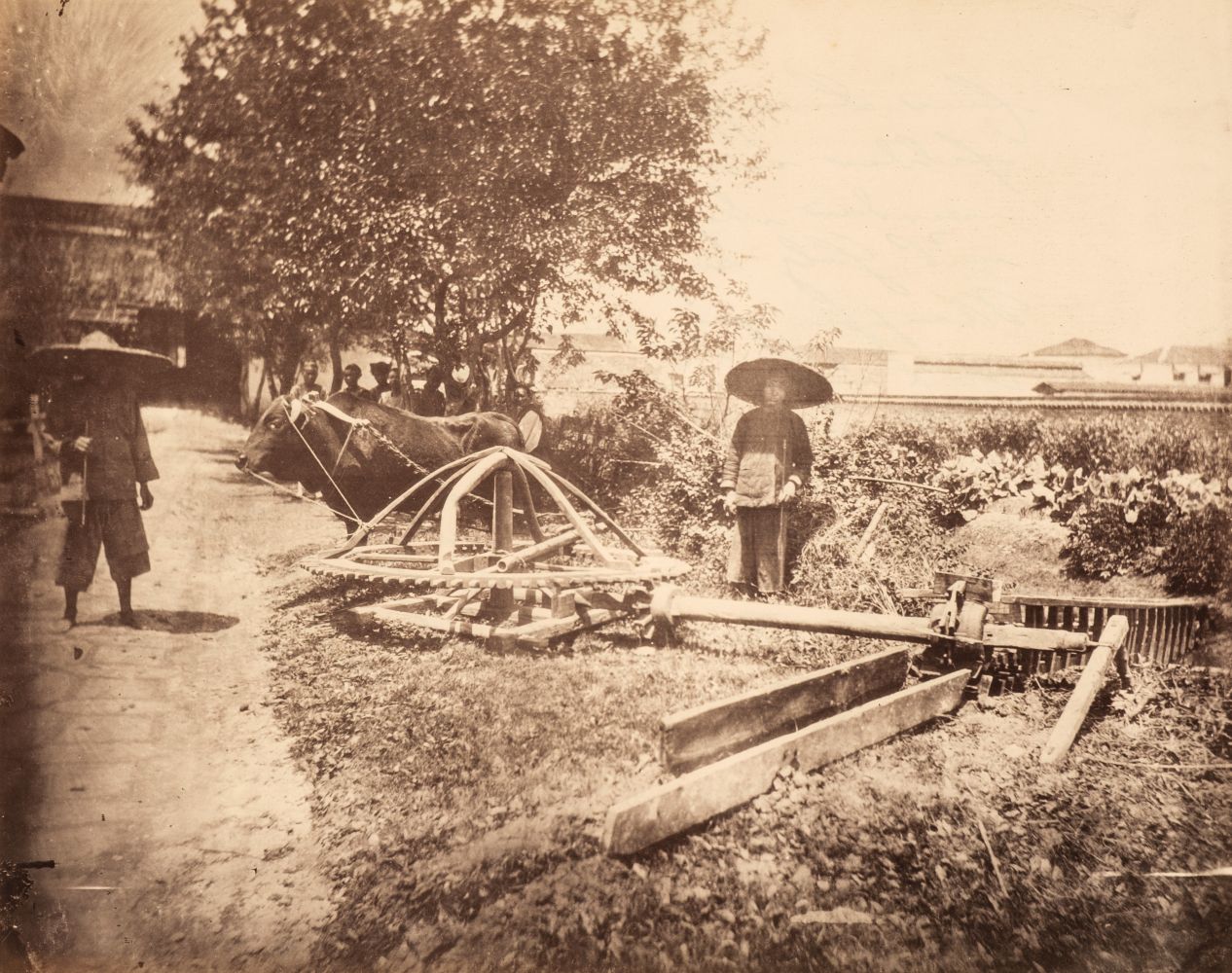 China. Irrigation of rice field, by William Saunders, c. 1870