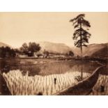 China. Chinese Rice Field, unidentified photographer, c. 1870
