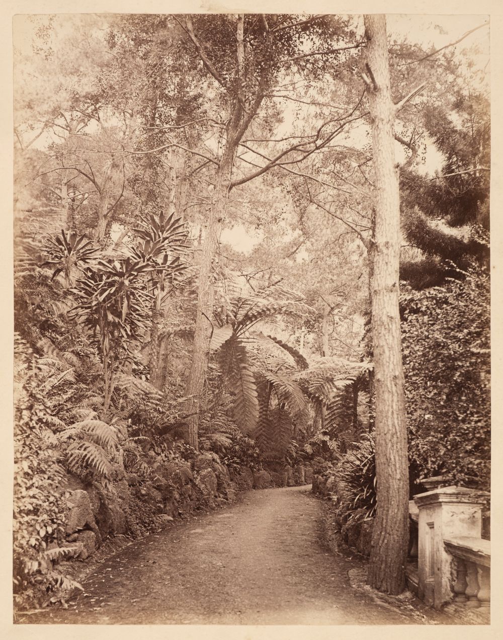 Hong Kong. Seven albumen print photographs, c. 1870 - Image 5 of 7