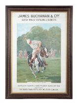 JAMES BUCHANAN & COY: "Buchanan's Black & White Leads", A Polo Scene