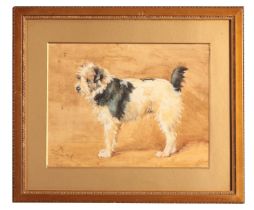 MONOGRAMMIST HME "Brat" a terrier