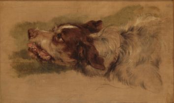 SIR EDWIN LANDSEER R.A. H.R.S.A (1802-1873) A study of a hound's head