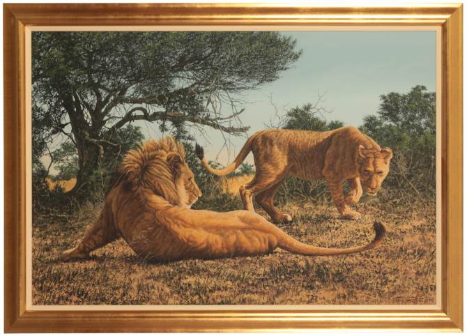 *TONY RIBTON (b .1940) Study of a Lion and Lioness in a landscape - Image 2 of 4