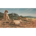 *TONY RIBTON (b.1940) A study of three cheetahs in a landscape