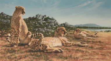 *TONY RIBTON (b.1940) A study of three cheetahs in a landscape