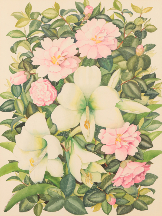 *KATHLEEN MURIEL SCALE (MURIEL HARDING-NEWMAN) (1913-2006) Pink camellia and white amaryllis'