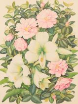 *KATHLEEN MURIEL SCALE (MURIEL HARDING-NEWMAN) (1913-2006) Pink camellia and white amaryllis'