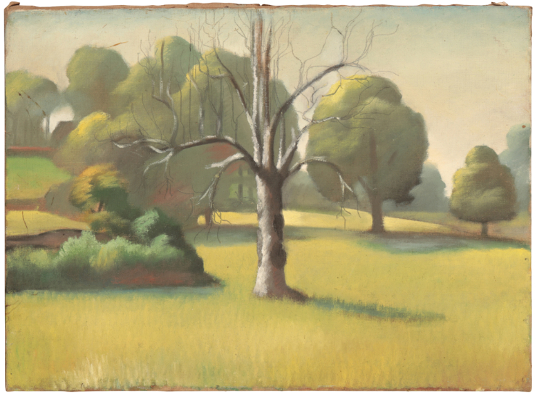*KATHLEEN MURIEL SCALE (MURIEL HARDING-NEWMAN) (1913-2006) Landscape with trees - Image 2 of 4