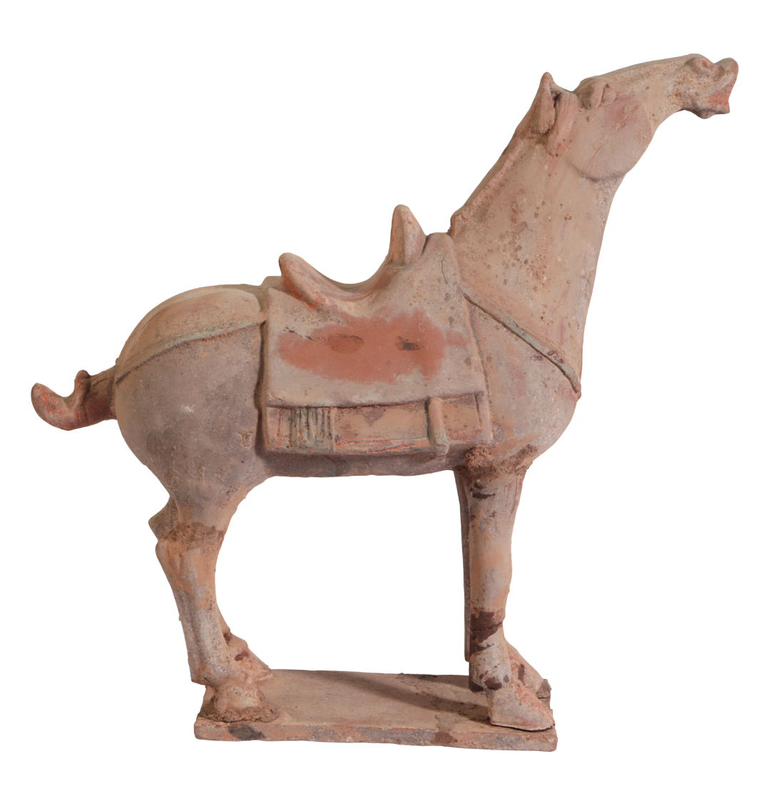 A CHINESE TANG DYNASTY HORSE - Bild 3 aus 4