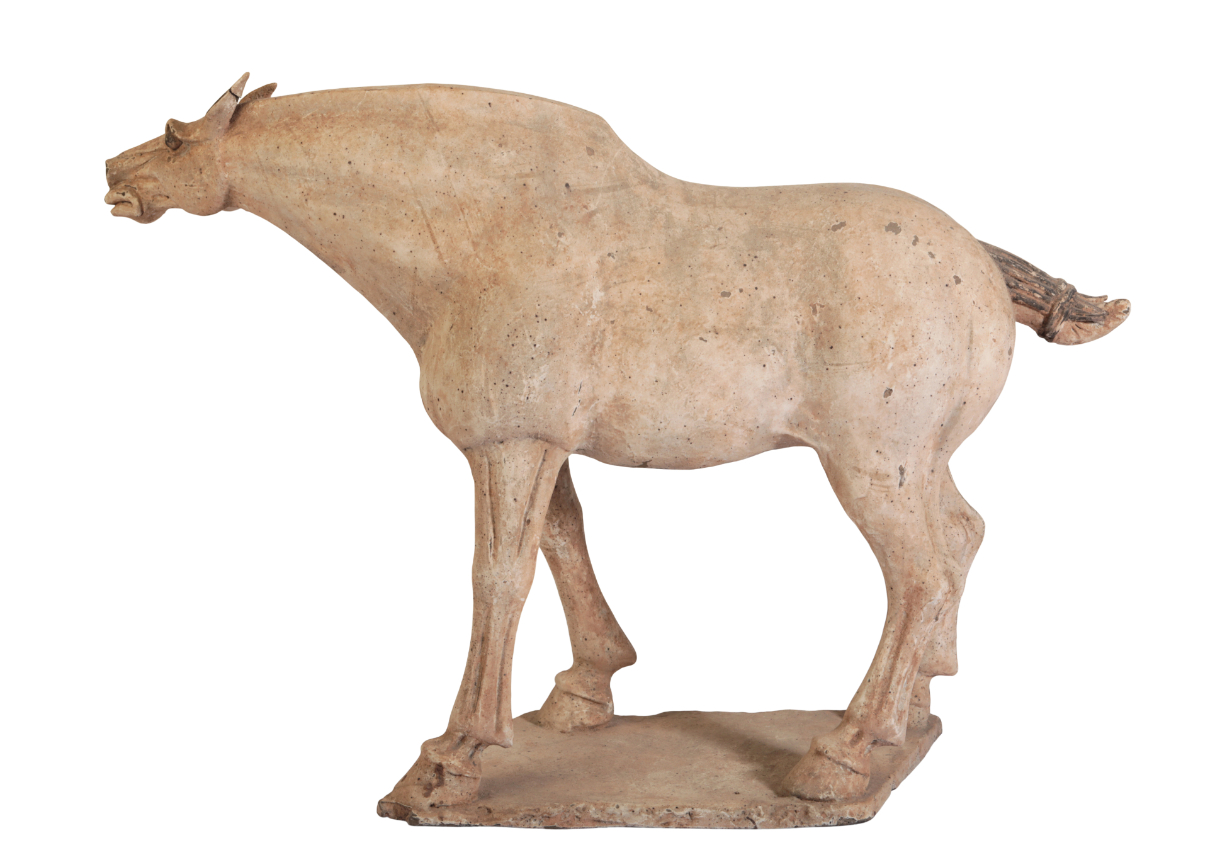 A CHINESE TANG DYNASTY HORSE - Image 4 of 4