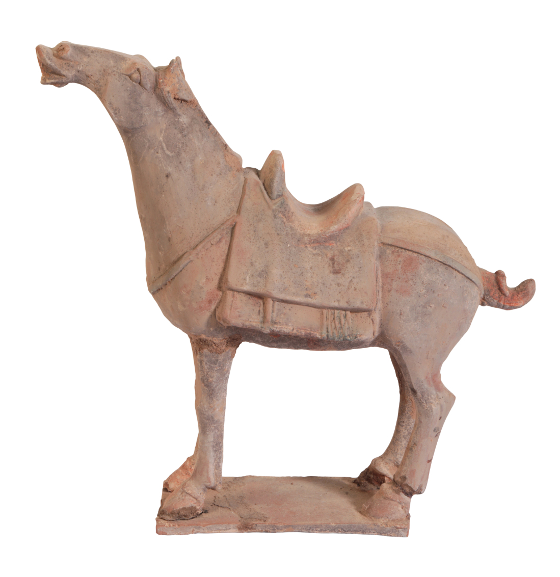 A CHINESE TANG DYNASTY HORSE - Bild 4 aus 4