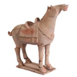 A CHINESE TANG DYNASTY HORSE