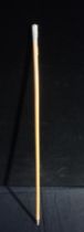 A METAL TOPPED SWAGGER STICK WITH REGIMENTAL BADGE