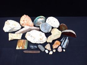 A COLLECTION OF FOSSILS, MINERAL SPECIMENS