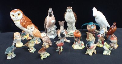 A COLLECTION OF BESWICK BIRD MODELS