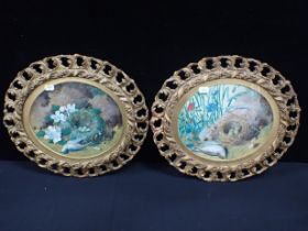 A PAIR OF OVAL FRAMED BIRD PAINTINGS