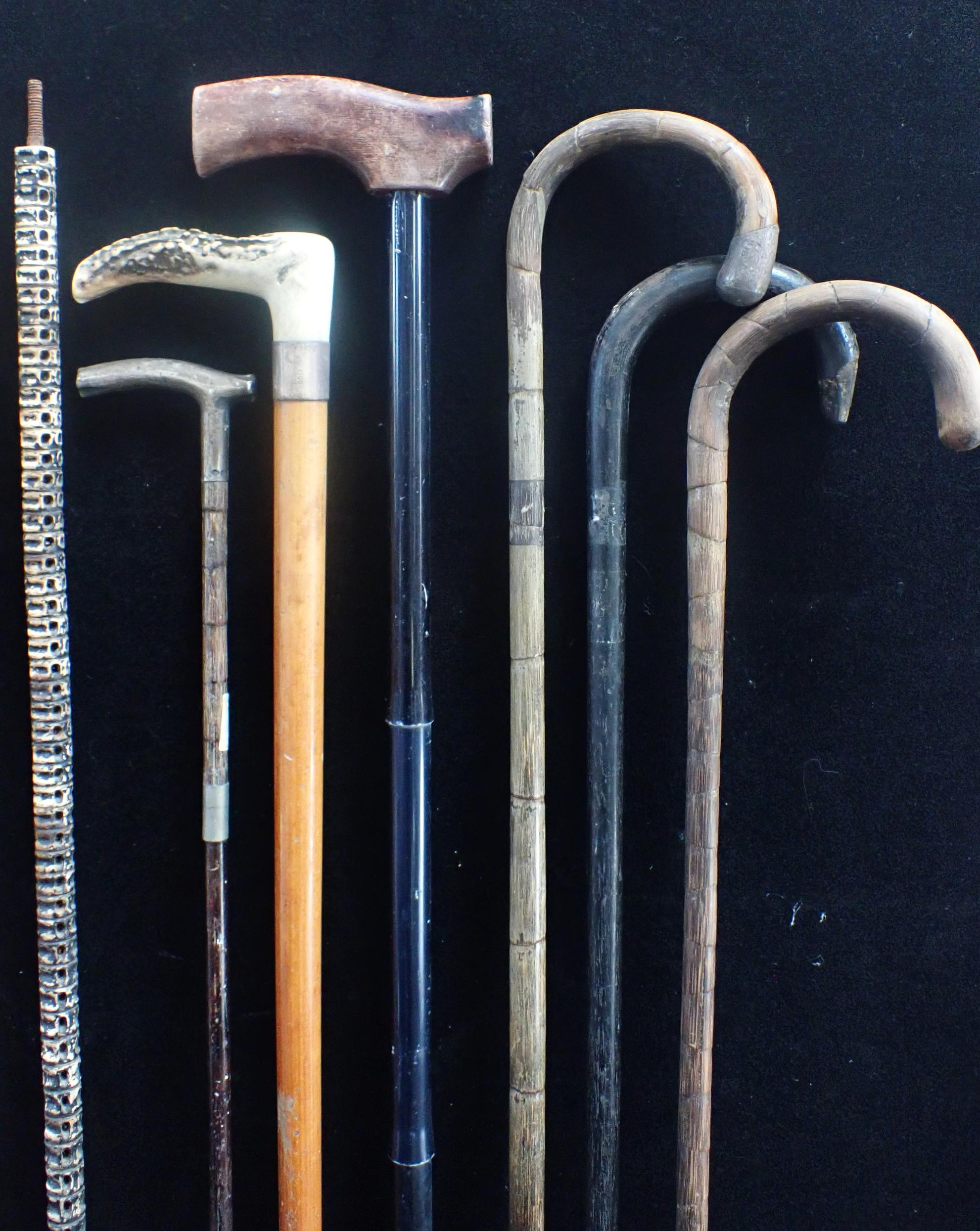 A COLLECTION OF WALKING STICKS, ONE WITH 18ct GOLD MOUNT - Image 4 of 4