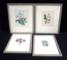 FOUR 19TH CENTURY FLORAL WATERCOLOURS