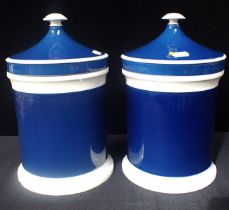 A PAIR OF 19th CENTURY APOTHECARY JARS
