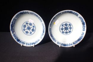 A PAIR OF CHINESE BLUE AND WHITE DISHES