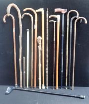 A COLLECTION OF WALKING STICKS, ONE WITH 18ct GOLD MOUNT