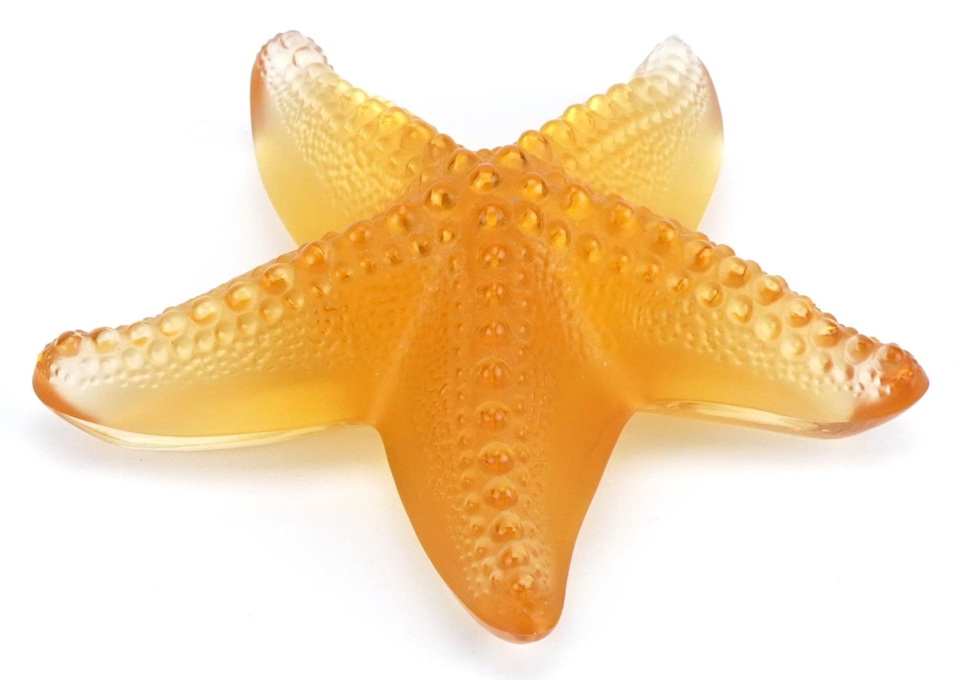 Lalique, French frosted and clear amber glass starfish paperweight etched Lalique France, 10.5cm