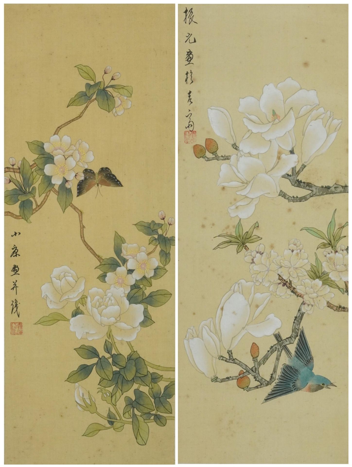 Butterflies and birds amongst flowers, pair of Chinese watercolours on silk, signed with red seal