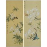 Butterflies and birds amongst flowers, pair of Chinese watercolours on silk, signed with red seal