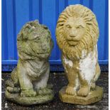 Two garden stoneware seated lions, the largest 50cm high : For further information on this lot