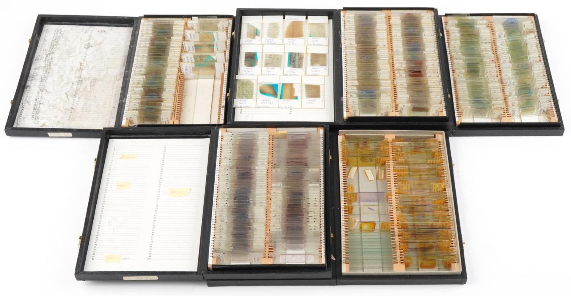 Large collection of scientific microscopic prepared glass slides arranged in four cases including