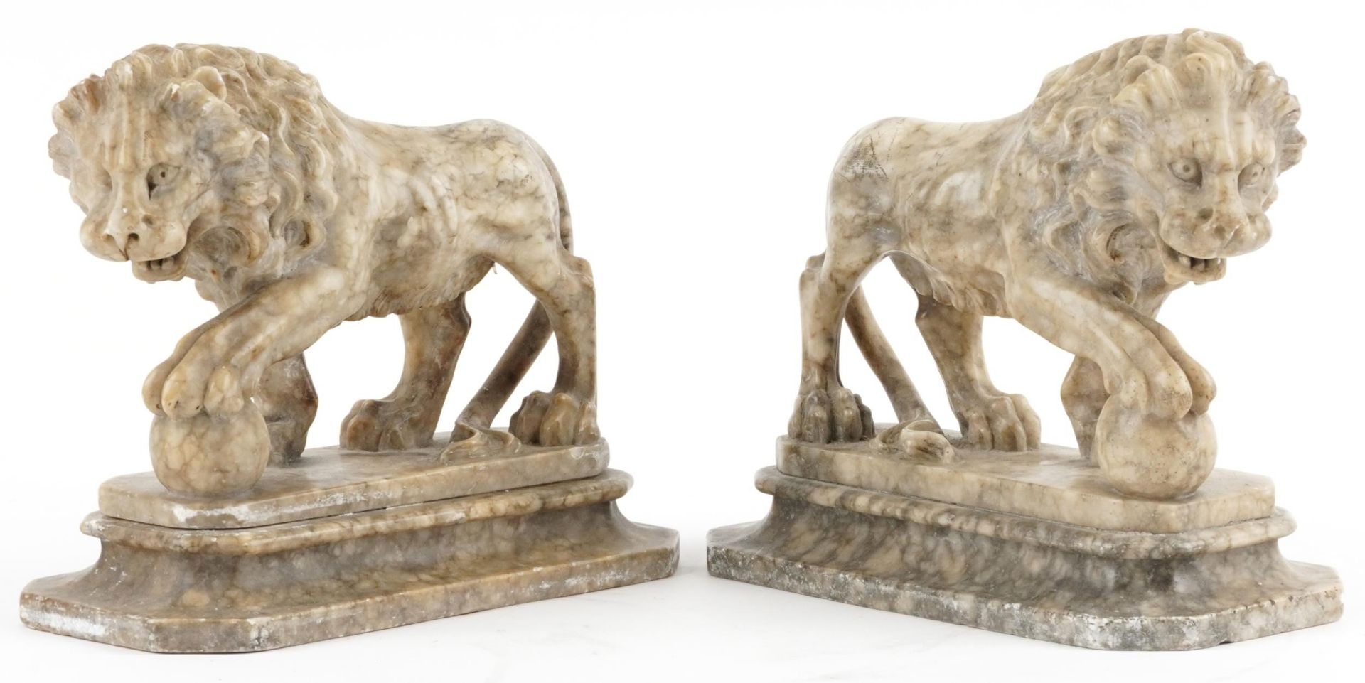 Pair of Grand Tour carved alabaster lions, each 24.5cm in length : For further information on this