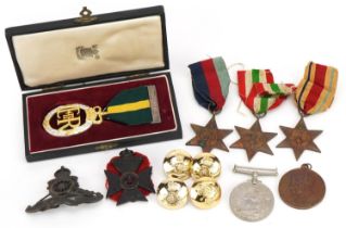 British military Elizabeth II Territorial Efficiency decoration and various World War II militaria