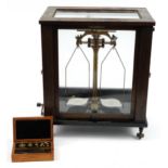 Paul Bunge of Hamburg, set of brass balance scales housed in a glazed oak display case, 43cm H x
