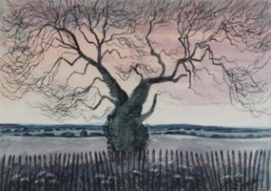 Robert Taverner - Old Oak near Alfriston Sussex, watercolour, inscribed verso, mounted, framed and