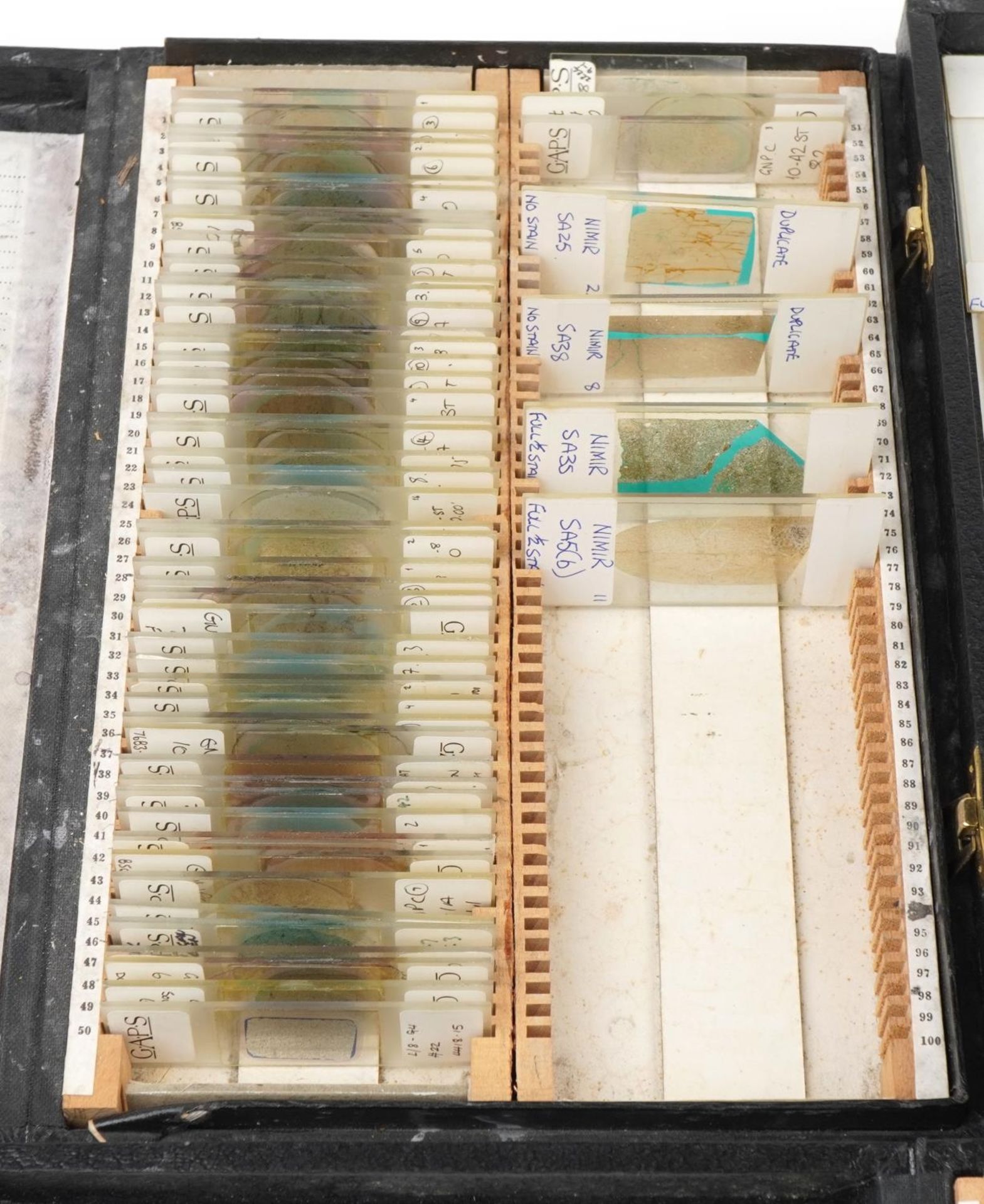 Large collection of scientific microscopic prepared glass slides arranged in four cases including - Image 2 of 7