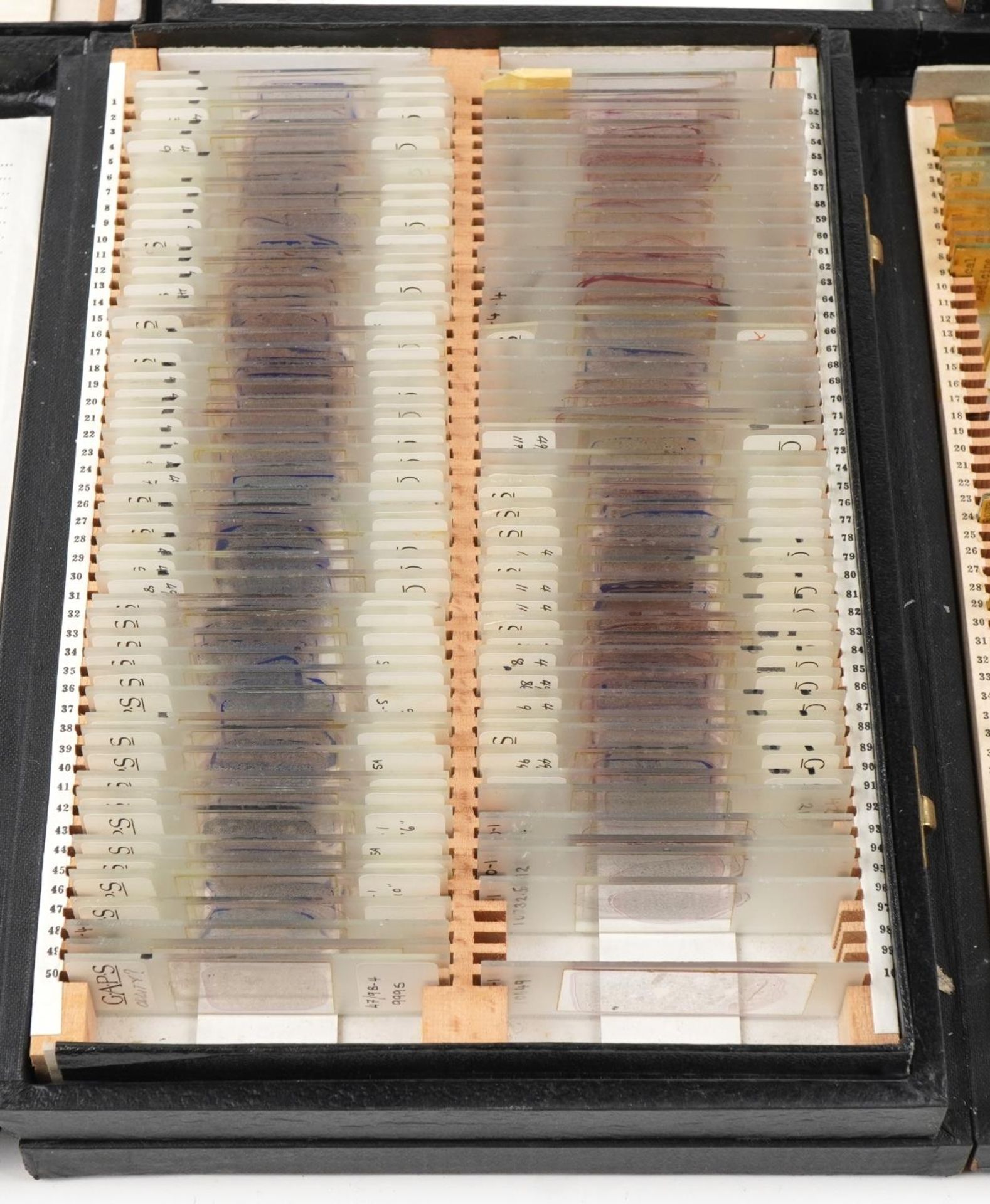 Large collection of scientific microscopic prepared glass slides arranged in four cases including - Image 6 of 7