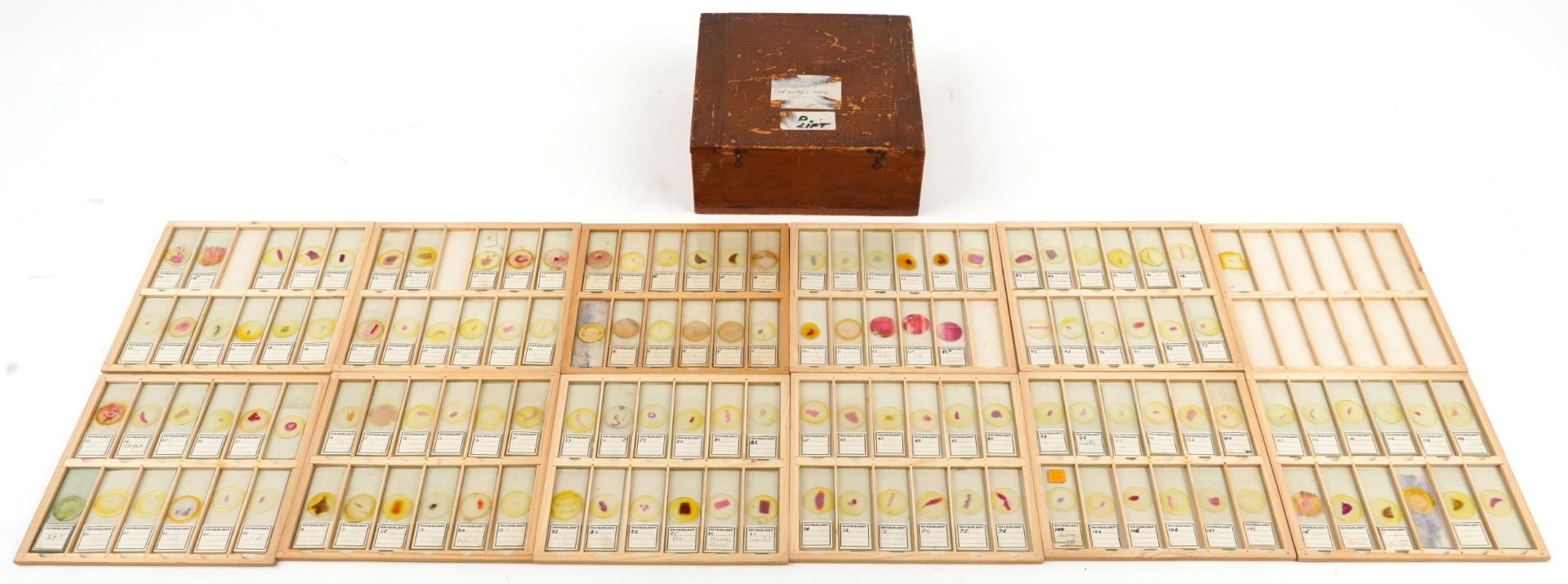 Collection of over one hundred scientific interest physiology microscopen prepared glass slides