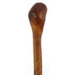 Australian Aboriginal nulla nulla throwing club decorated with a serpent and sea creatures, 56.5cm
