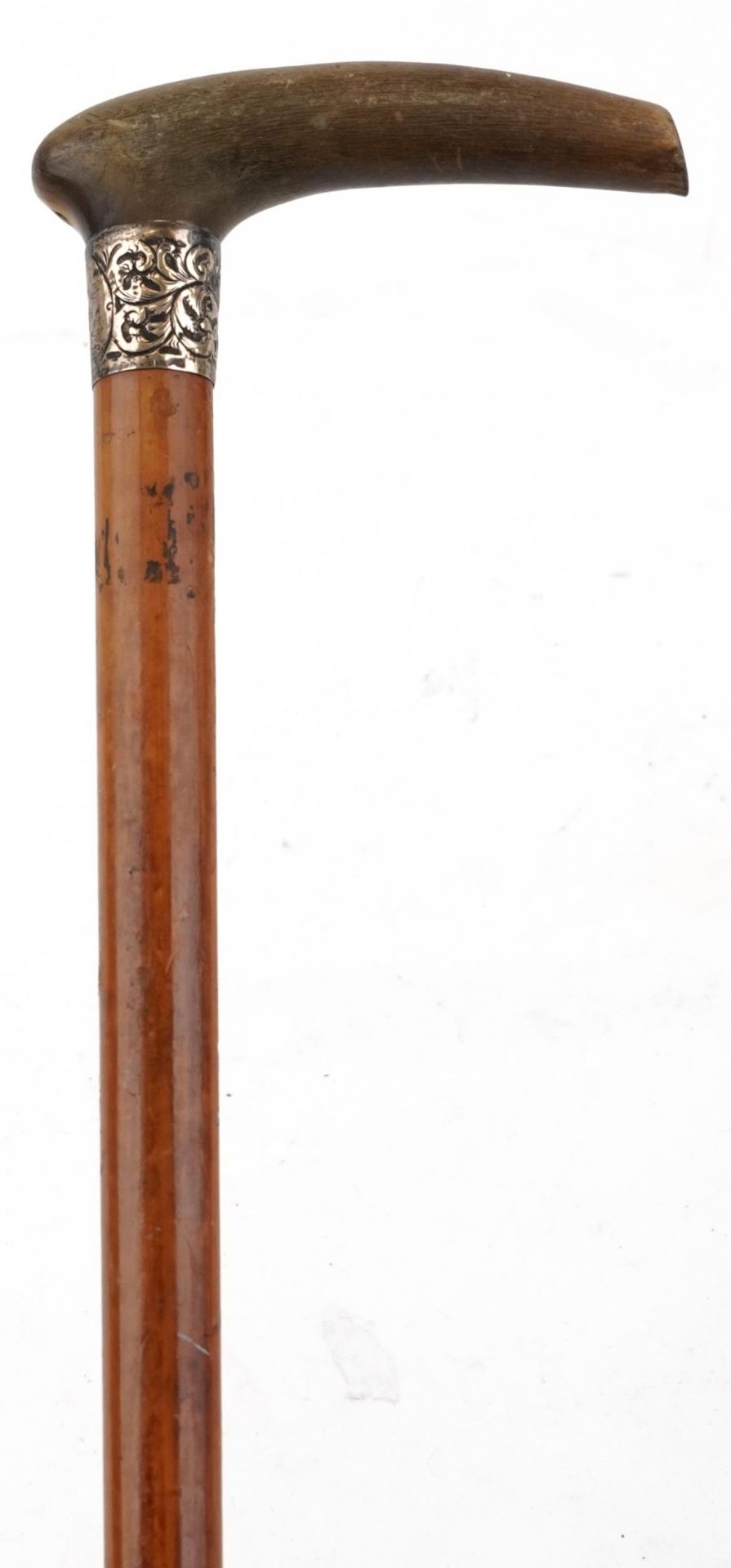 Malacca walking stick with horn handle and engraved silver collar, the handle possibly rhinoceros